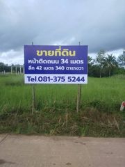 ขายที่ดิน ระยอง แกลง ใกล้ทะเลหาดแม่พิมพ์ 8 นาที ขนาด 120 ตรว.