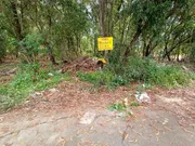 ขาย ที่ดิน ตำบลคลองสี่ อำเภอคลองหลวง จังหวัดปทุมธานี