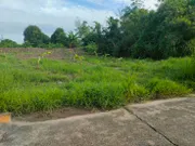 ขายที่ดินเปล่า 268 ตรว. ติดมหาวิทยาลัยรังสิต, สถานีรถไฟฟ้าหลักหก, ปทุมธานี(ราคาพิเศษ)