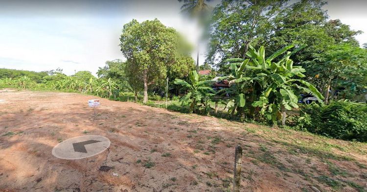 ขายด่วน ที่ดินถมแล้ว แปลงสวย ราคาถูก ทำเลดี อำเภอถลาง จังหวัดภูเก็ต, ภาพที่ 4