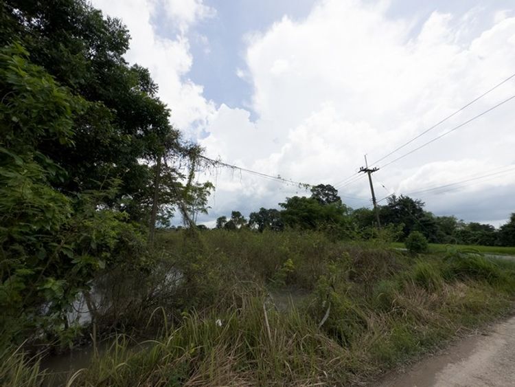  ที่ดินสวยติดถนนห่างจากถนนทางหลวง 500 ม. ตรงข้าม อบต. ป่าขะ 12 ไร่ ถูก, ภาพที่ 4