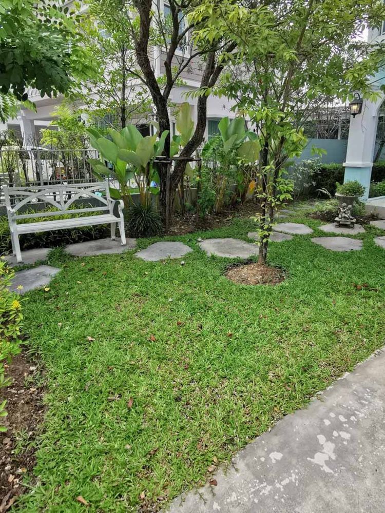 บ้านเดี่ยว 2 ชั้นให้เช่า ในโครงการ มีพื้นที่บริเวณบ้านกว้างขวาง, ภาพที่ 4