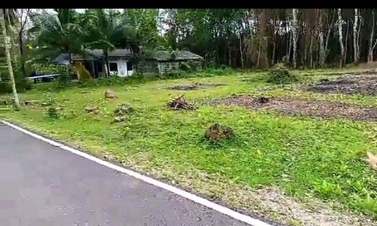 ขาย ที่ดิน ในโครงการ ขายที่ดินจังหวัดตรัง ตำบลนาโยงใต้ อำเภอเมืองตรัง, ภาพที่ 4