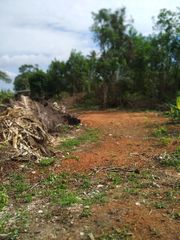 ขาย ที่ดิน ตำบลวันยาว อำเภอขลุง จังหวัดจันทบุรี