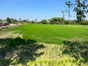 ขายที่ดิน ต.บางแม่นาง อ.บางใหญ่ จ.นนทบุรี 7ไร่ 3งาน  ราคา 63,000,000 ล้านบาท สนใจโทร 0979495559 