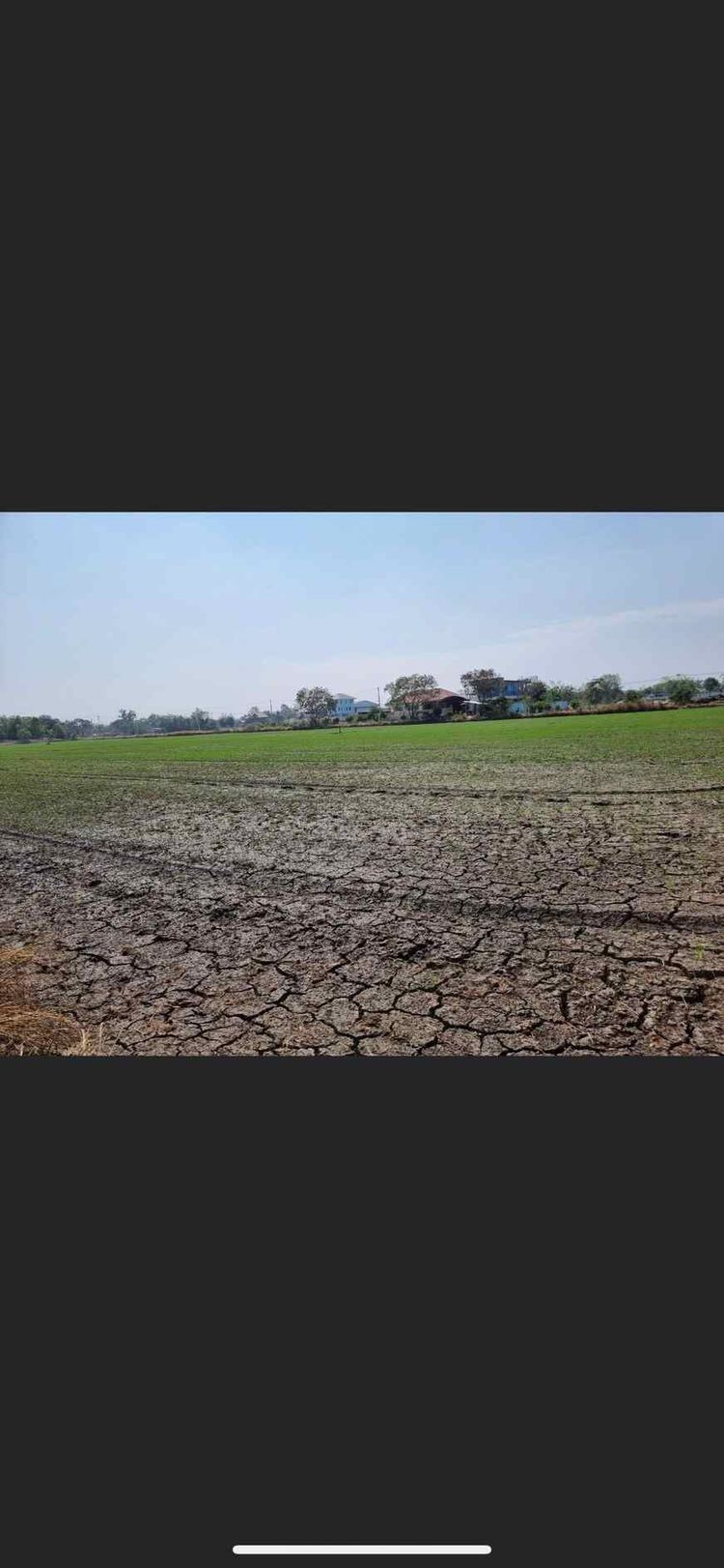 ขายที่ดิน  ทำเลดี ตำบล คลองโยง อำเภอพุทธมณฑล นครปฐม, ภาพที่ 4