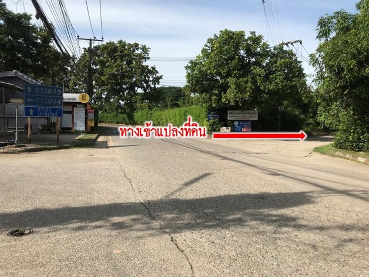 ขายที่ดิน  200  ตรว.หมู่บ้านธารดง  ปาร์ควิว ใกล้กาดฝรั่ง  อ.หางดง  จ.  , ภาพที่ 4
