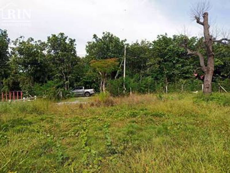 ขายที่ดินแปลงเล็กริมน้ำ เนื้อที่ 150 ตรว.ๆ บรรยากาศร่มรื่น, ภาพที่ 4