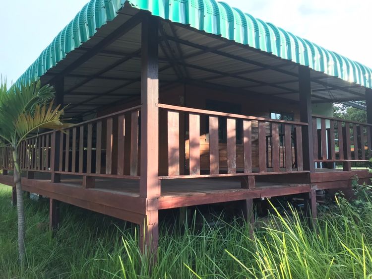 ขาย บ้าน สวน บ้านไร่ริมบึง ตำบลประทาย อำเภอประทาย จังหวัดนครราชสีมา, ภาพที่ 4