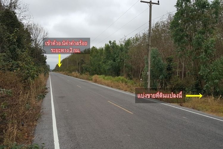 ที่ดินแบ่งล็อคขาย ราคาดีๆ ที่สวย ทําเลทอง ติดถนนลาดยาง อ.นิคมคําสร้อย, ภาพที่ 4