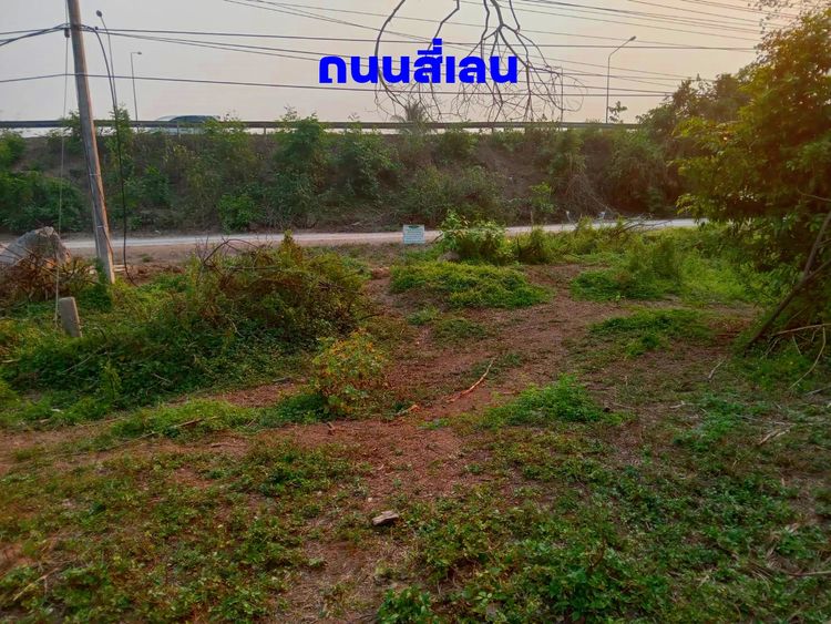 ขาย ที่ดิน ตำบลดอนไฟ อำเภอแม่ทะ จังหวัดลำปาง, ภาพที่ 4