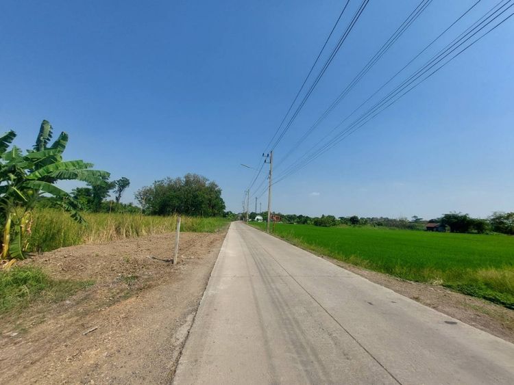 82292 – ขาย ที่ดินเปล่าติดคลอง 250 ตร.ว. ซอยหน้าโรงเรียนวัดชัยฯ, ภาพที่ 4