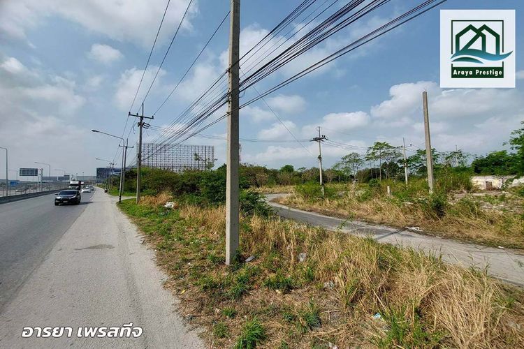 ที่ดินเปล่าติดถนนข้าวหลามบางแสน, ภาพที่ 4