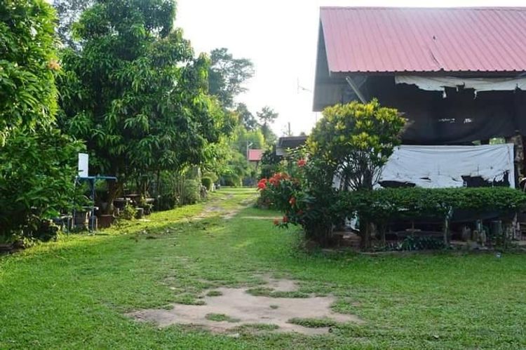 ขายที่ดินพร้อมสิ่งปลูกสร้าง 4-3-91ไร่ ม.2 บ้านคอนสาย   อ.เมือง จ.ยโสธร , ภาพที่ 4