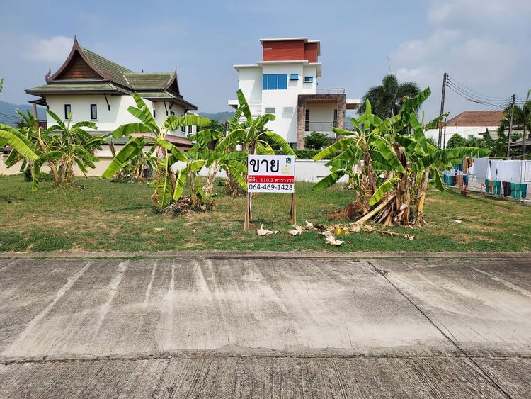 ขายที่ดินจัดสรร 110.3 ตรว แปลงมุม 99 ภูเก็ต อันดามัน ทรอปิคอลโฮม เมือง, ภาพที่ 4