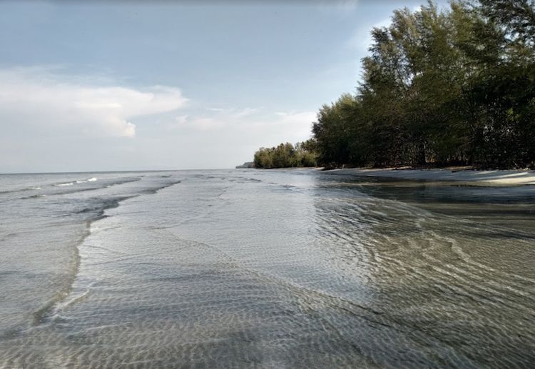ขายหาดไพลิน ยาว 600 เมตร พร้อมที่ดิน ลึกถึงถนน ตราด, ภาพที่ 4