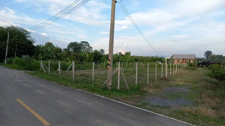 ขายที่ดิน 106ตรว.1.2ล้านบาท ถนน ไฟฟ้า ประปา พร้อมสร้างบ้าน ม.6 ต.ขัวมุง, ภาพที่ 4