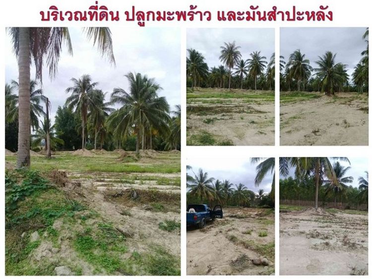 ขายที่ดิน 14 ไร่ 3 งาน 14 ตร.วา ต. ห้วยใหญ่ อ. บางละมุง  จ. ชลบุรี, ภาพที่ 4