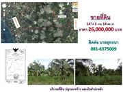 ขายที่ดิน 14 ไร่ 3 งาน 14 ตร.วา ต. ห้วยใหญ่ อ. บางละมุง  จ. ชลบุรี