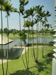 CONDO วีคอนโด ศาลายา V Condo Salaya  พื้นที่เท่ากับ 60 SQUARE METER 8000 thb ใกล้ มหาวิทยาลัยมหิดล ทำเลดีเยี่ยมๆ -