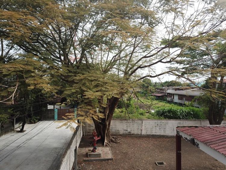 ขายที่ดิน พร้อมบ้าน เนื้อที่ 152 ตรว.ซอยรามคำแหง 118 , ภาพที่ 4
