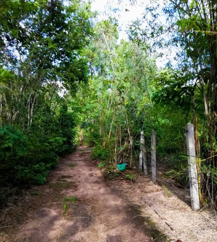 ขายที่ถูกตัวเมือง จ.ตาก , ภาพที่ 4