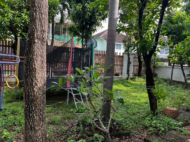 ให้เช่า บ้าน ในโครงการ หมู่บ้านเพอร์เฟค เพลส รัตนาธิเบศน์ Perfect Place, ภาพที่ 4