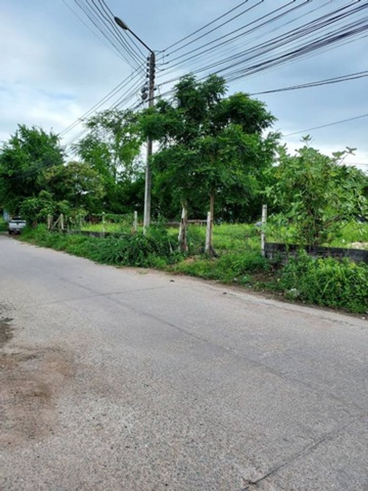 ขายที่ดิน 467 ตร.วา  ทำเลดี ซอยเขามะกอก จอมเทียน อำเภอบางละมุง จ.ชลบุรี, ภาพที่ 4