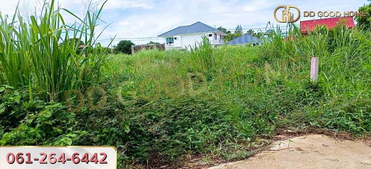 ขายที่ดินเปล่าถมแล้ว 124 ตร.ว. ที่สวย ทำเลทอง อ.บางละมุง จ.ชลบุรี, ภาพที่ 4