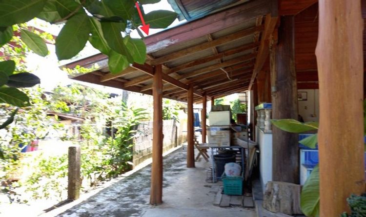 ขายบ้านไม้ใต้ถุนสูง อำเภอสูงเม่น แพร่ (PKK02-14198), ภาพที่ 4