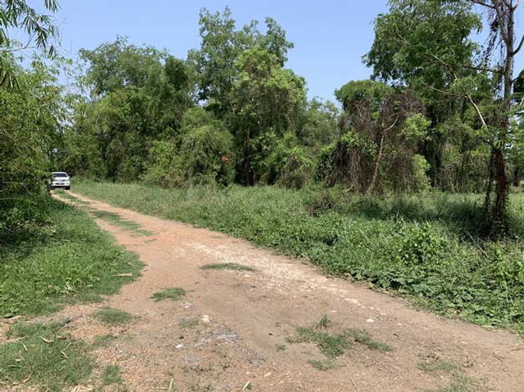 ขายที่ดิน ในซอยคลองห้า ตะวันตก14 อ.คลองหลวง จ.ปทุมธานี , ภาพที่ 4