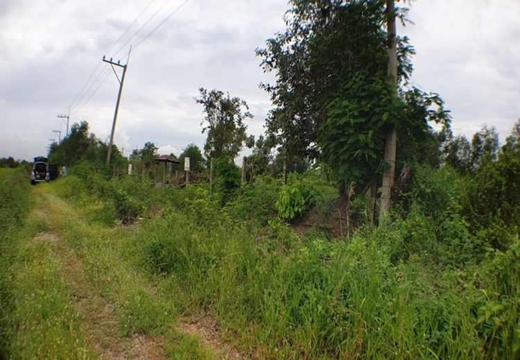 ขายที่ดินลำลูกกา คลอง 16 ถนนลำลูกกา อำเภอองครักษ์ นครนายก, ภาพที่ 4