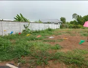 ขาย ที่ดิน ตำบลบึงกาสาม อำเภอหนองเสือ จังหวัดปทุมธานี