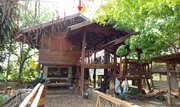 ขายบ้านไม้ใต้ถุน    อำเภอนาหมื่น  น่าน (PKK02-13274)