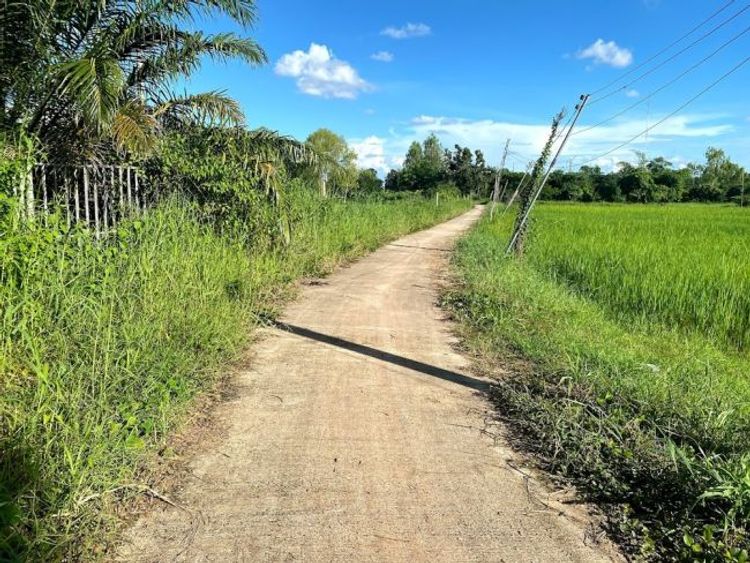 ขาย ที่ดินอำเภอศรีเชียงใหม่ จังหวัดหนองคาย, ภาพที่ 4
