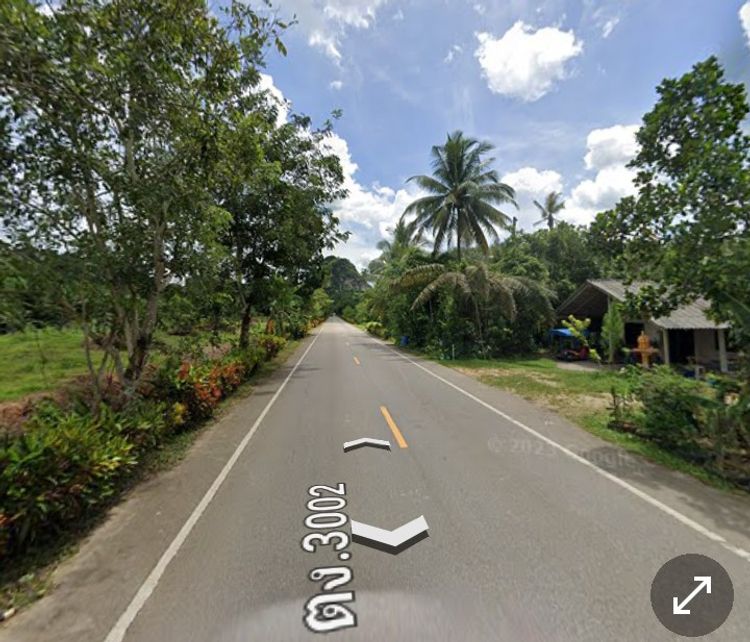 ขาย ที่ดิน ตำบลเขาวิเศษ อำเภอวังวิเศษ จังหวัดตรัง, ภาพที่ 4