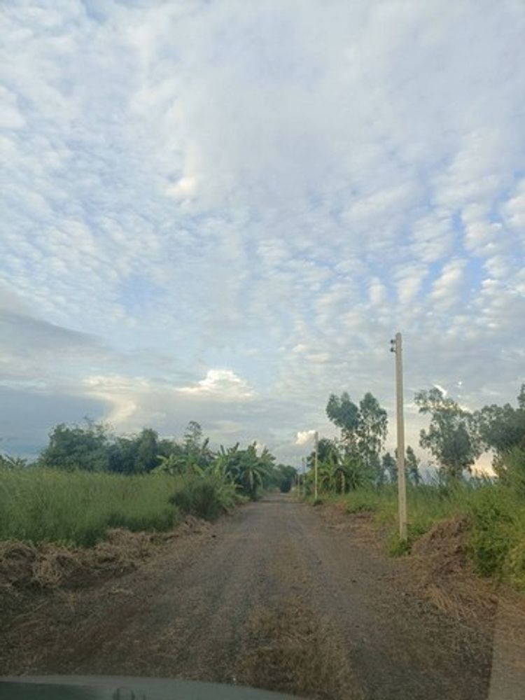 ขายทีดินเปล่า ถมให้พร้อมสระน้ำ คลองสิบสอง หนองจอก กรุงเทพ, ภาพที่ 4