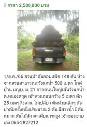 ขาย ที่ดิน ตำบลเขาวิเศษ อำเภอวังวิเศษ จังหวัดตรัง