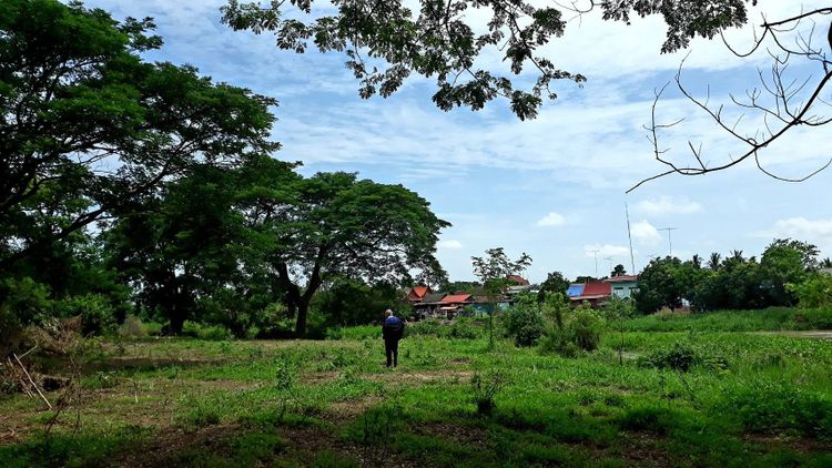 86020 - ขาย ที่ดินว่างเปล่า (ถมแล้ว) ตำบลไผ่จำศีล อำเภอวิเศษไชยชาญ, ภาพที่ 4
