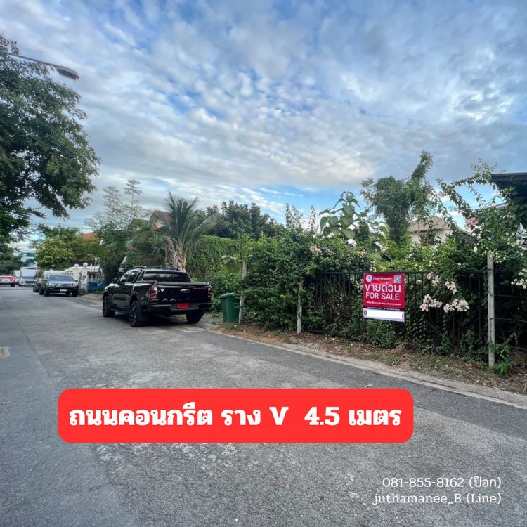 ขาย ที่ดิน ถมแล้ว ถนนคอนกรีต ที่ดิน 60 ตร.วา เดินทางสะดวก, ภาพที่ 4