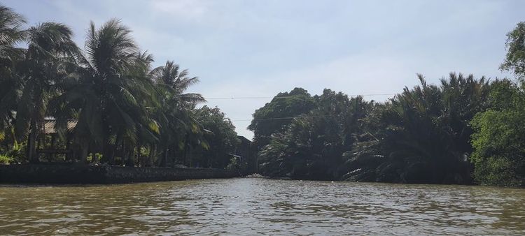 ขายและให้เช่าที่ดินเกือบ 7 ไร่ ติดแม่น้ำเจ้าพระยา, ภาพที่ 4