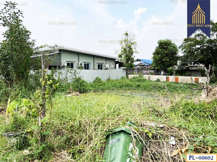 ขาย ที่ดิน ที่ดินเปล่า คู้บอน รามอินทรา คันนายาว เหมาะซื้อสร้างบ้าน 81, ภาพที่ 4