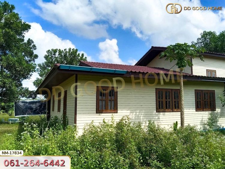 ที่ดินพร้อมสิ่งปลูกสร้าง อ.ร่อนพิบูลย์ 300 ตร.ว. นครศรีธรรมราช, ภาพที่ 4