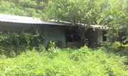 ขายบ้านเดี่ยว    อำเภอตะกั่วทุ่ง  พังงา (PKK02-14568)