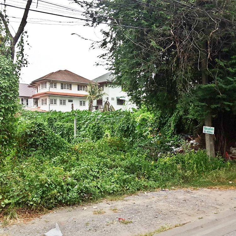 ขาย ที่ดิน ตำบลบางเขน อำเภอเมืองนนทบุรี จังหวัดนนทบุรี, ภาพที่ 4