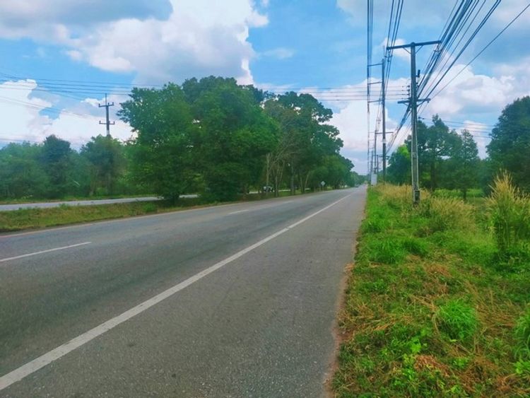 ขายสวนทุเรียนให้ผลผลิตเต็มที่ติดถนนสุขุมวิท 18 ไร่เขตซากโดน อ.แกลง, ภาพที่ 4