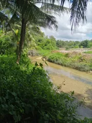 ขาย ที่ดิน ตำบลโคกกลอย อำเภอตะกั่วทุ่ง จังหวัดพังงา