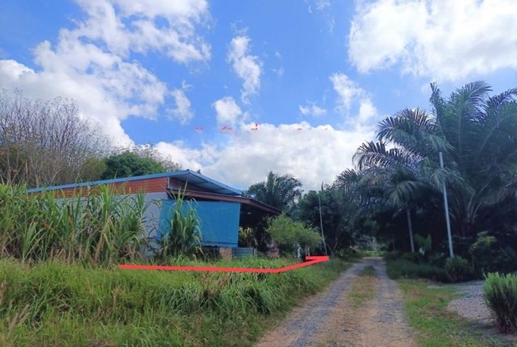 ขายบ้านเดี่ยว อำเภอวังวิเศษ ตรัง (PKK02-14980), ภาพที่ 4