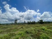 ขาย ที่ดิน ตำบลดงมะไฟ อำเภอเมืองสกลนคร จังหวัดสกลนคร