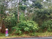 ขายที่ดินใกล้หาดบานชื่น อ.คลองใหญ่ จ.ตราด ไร่ละล้าน